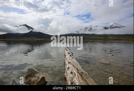 Wooden log on Vermilion Lakes, Canada Stock Photo