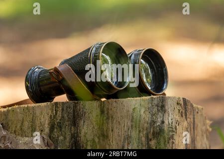 Black retro binoculars placed on a log in a natural environment with a wooden log and grassy ground, space for text Stock Photo