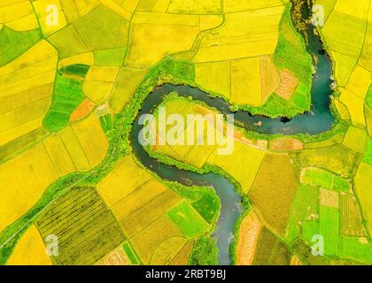 Ripen rice fields in Bac Son valley, Vietnam Stock Photo