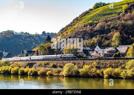 Regional train passing the yellow vineyards in autmn close the moselle river in Kobern Germany. Stock Photo