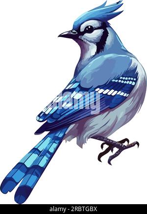 Cute Small blue jay on white background Stock Vector