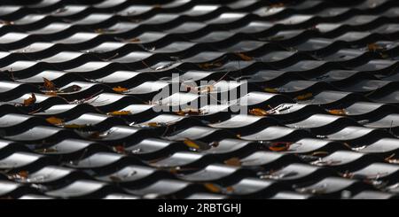 Shiny black roof tiling with fallen autumn leaves, close up photo of modern house roof, abstract panoramic background photo Stock Photo