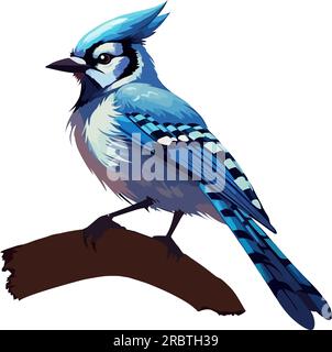 Small blue jay perching on branch in forest Stock Vector