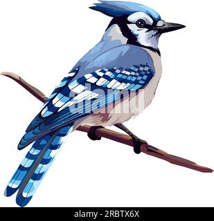 Small blue jay perching on branch Stock Vector