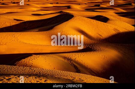 Sand dunes in the desert at sunset, no people. Stock Photo
