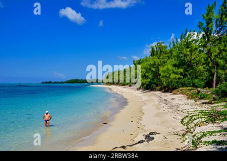 Mauritius, Flacq district, Ile aux Cerfs island Stock Photo