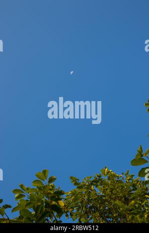 Tranquil nature with clear sky, green forest, and serene landscape. Stock Photo