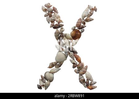 Letter X, summer concept idea. Letter X made with sea shell isolated on white background. Stock Photo