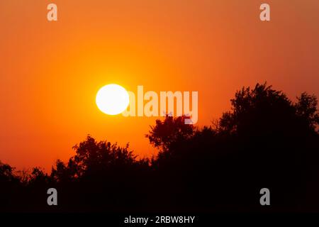 view on sun going down behind trees at sunset Stock Photo