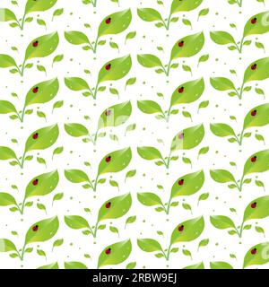 on a green leaf, on which dew drops, crawls a small red beetle with black dots on the back of a ladybug Stock Vector