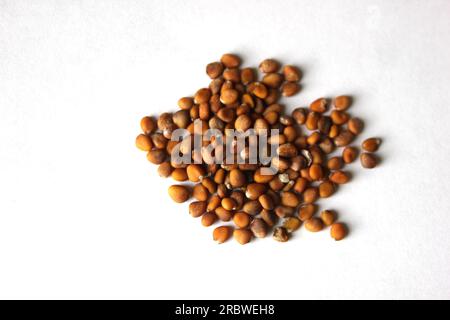 A heap of cultivated radish seeds. Stock Photo