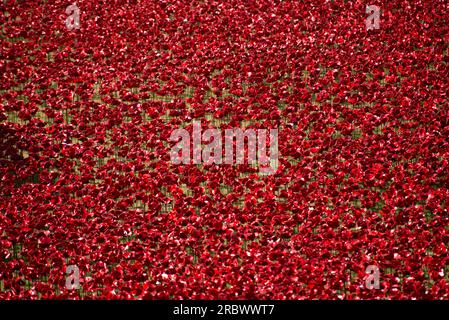 TOWER OF LONDON REMEMBERS WWI CENTENARY COMMEMORATIONS AT THE TOWER OF LONDON Stock Photo