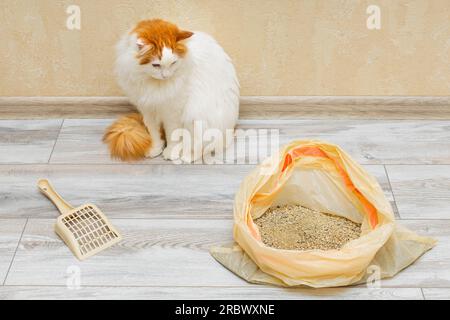 Used 2025 cat litter