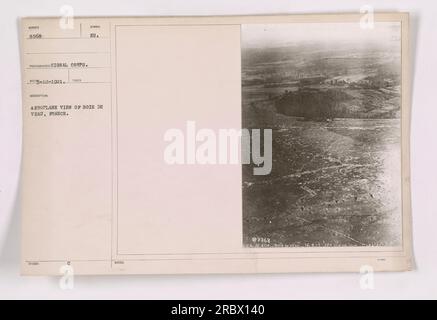 Aerial view of the Bois de Veau, located in France during World War One. The photograph was taken by the Signal Corps in October 1921. It displays a bird's-eye view of the forest, highlighting the geographical features and landscape. This image offers an insight into the military activities that took place in the area. Stock Photo