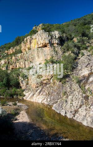 Oasis WWF Monte Arcosu. The Monte Arcosu - Piscinamanna forest complex is the largest Mediterranean Maquis forest in the entire Mediterranean basin. S Stock Photo