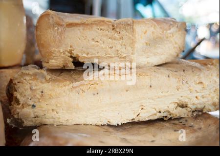 Casu Marzu, traditional Sardinian sheep milk cheese that contains live insect larvae (maggots), Feast of Santa Vitalia, Serrenti, Sardinia, Italy, Eur Stock Photo