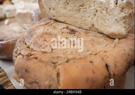 Casu Marzu, traditional Sardinian sheep milk cheese that contains live insect larvae (maggots), Sardinia, Italy, Europe Stock Photo