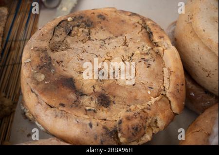 Casu Marzu, traditional Sardinian sheep milk cheese that contains live insect larvae (maggots), Sardinia, Italy, Europe Stock Photo