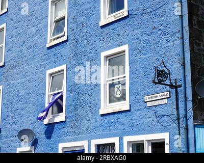 Building painted blue with Scottish saltire flapping out of one window and Scottish National Party (SNP) symbol on another, Tobermory, Isle of Mull,UK Stock Photo