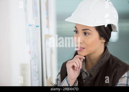 female architect studying plans Stock Photo