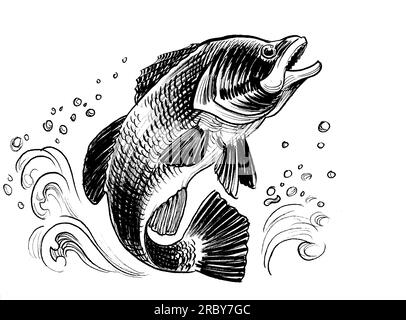 leaping bass pencil drawing