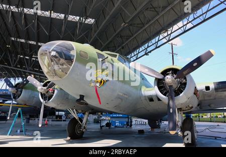 Boeing B-17F Flying Fortress 42-29782 long range World War 2 bomber Boeing Bee The Museum of Flight Seattle Washington State USA Stock Photo