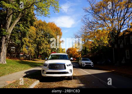 The Full-size luxury SUV Infiniti QX80 Stock Photo