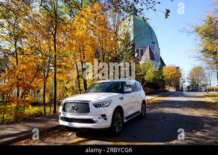 The Full-size luxury SUV Infiniti QX80 Stock Photo