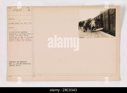 A horse being assisted onto a military transport by artillerymen in Toul, France. This photo was taken on March 7, 1918, and features members of the 5th Regiment of Field Artillery on their way to the British-French front. The image was censored and released by the Historical Branch on May 31, 1918. Stock Photo