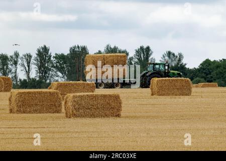 Cambridgeshire harvested field Stock Photo