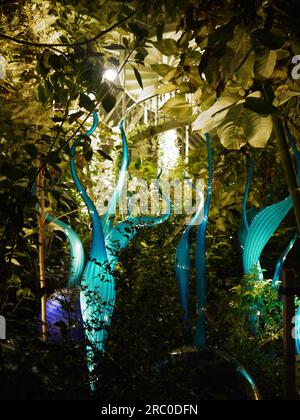 Turquoise Marlins and Floats, 2015, by Dale Chihuly - illuminated in the Temperate House as part of the Chihuly Nights exhibition at Kew Gardens, 2019 Stock Photo