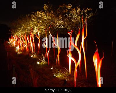 Cattails and Copper Birch Reeds, 2015, by Dale Chihuly, illuminate the Cherry Walk at Kew Gardens as part of the Chihuly Nights Exhibition, 2019 Stock Photo