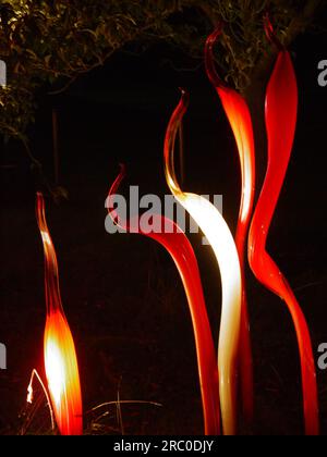 Cattails and Copper Birch Reeds, 2015, by Dale Chihuly, illuminate the Cherry Walk at Kew Gardens as part of the Chihuly Nights Exhibition, 2019 Stock Photo