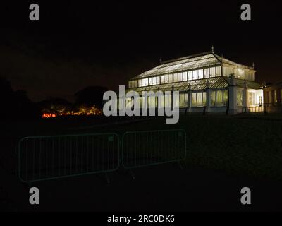 Cattails and Copper Birch Reeds, 2015, by Dale Chihuly, illuminate the Cherry Walk at Kew Gardens as part of the Chihuly Nights Exhibition, 2019 Stock Photo