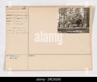 National Army men at Camp Lewis in American Lake, Washington, building an entrance to an underground tunnel. The photo was taken by proto-grapher Ed. N. Jackson and is part of a series documenting American military activities during World War One. The image was released by W.C.D. to the Photo Division on January 28th, 1918. Stock Photo