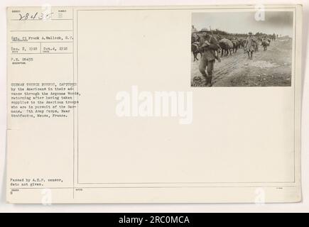 American soldiers returning with German trench burros captured in the Argonne Woods during the pursuit of German troops. Photograph taken near Montfaucon, Meuse, France. Caption stamped with Sgt. Frank A. Wallock's photographer number. Passed by A.E.F. censor, no date given. Stock Photo