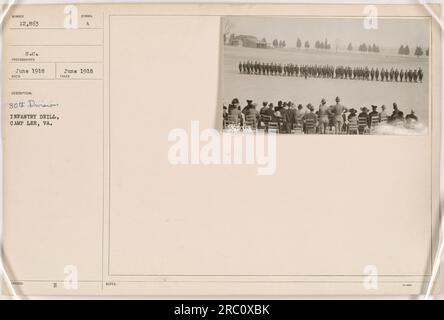 'Soldiers of the 80th Division participate in infantry drill exercises at Camp Lee, Virginia, in June 1918. This training was an integral part of the American military activities during World War One. The soldiers are seen demonstrating their skills and discipline as they practice various combat maneuvers.' Stock Photo