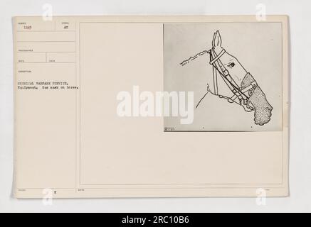 Animals at war, world war horse wearing a gas mask Stock Photo - Alamy