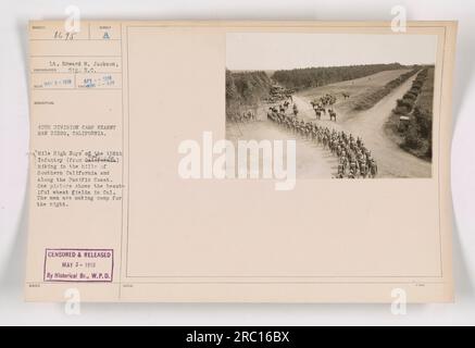 Troops from the 40th Division, also known as the 'Mile High Boys' of the 158th Infantry from California, hiking in the hills of Southern California and along the Pacific Coast during World War I. This image shows the men setting up camp for the night in a beautiful wheat field. Photograph taken on May 2, 1918, at Camp Kearny in San Diego, California. Caption censored and released on May 3, 1918, by Historical Branch, War Plans Division. Image number SC-8695. Stock Photo