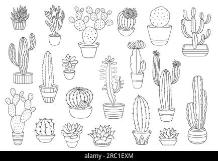 Outline cactus succulents, vector desert plants. Thin line cacti in flower pots, mexican agave, opuntia or prickly pear, saguaro, echeveria and haworthia cactus, succulents with spiky leaves, flowers Stock Vector