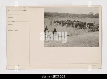 Soldiers engaging in a cavalry drill during World War One. The photo depicts them practicing various maneuvers and techniques on horseback. The soldiers are fully equipped with rifles and are focused on their training. Taken in 1919 by photographer ECO. Photo number 111-SC-743. Stock Photo