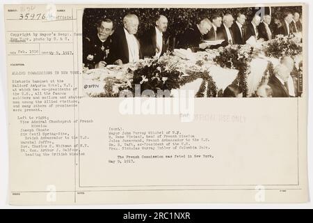 Caption: Allied commissioners and notable figures attending a historical banquet at the Waldorf Astoria Hotel in New York during World War I. Pictured from left to right: Vice Admiral Chocheprat of the French Mission, Joseph Choate, Sir Cecil Spring-Rice (British Ambassador to the US), Marshal Joffre, Governor Charles S. Whitman of New York, Rt. Hon. Arthur J. Balfour (heading the British Mission), Mayor John Purroy Mitchel of New York, M. Rene Viviani (head of the French Mission), Jules Jusserand (French Ambassador to the US), W.H. Taft (ex-president of the US), and President Nicholas Murray Stock Photo