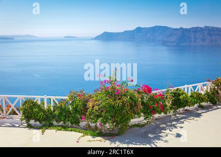 Santorini concept background. Greece, Santorini island, Oia - white architecture, flowers and blue sea and sky. Abstract background, empty space. Gree Stock Photo