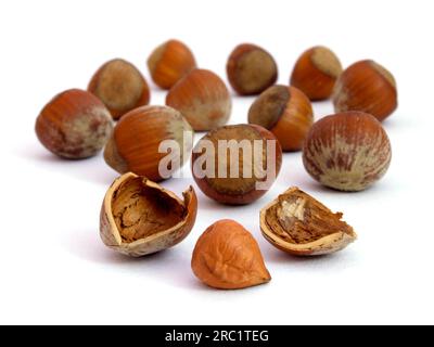ein paar Haselnuesse Stock Photo