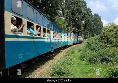Exciting trip with Nilgiri Mountain Railway hill train from Ooty to Mettupalayam, Tamil Nadu, South India, India, Asia. UNESCO World Heritage Site Stock Photo