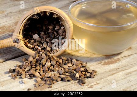 (Cyperi Rhizoma), Xiang Fu, nut grass rootstock tea Stock Photo