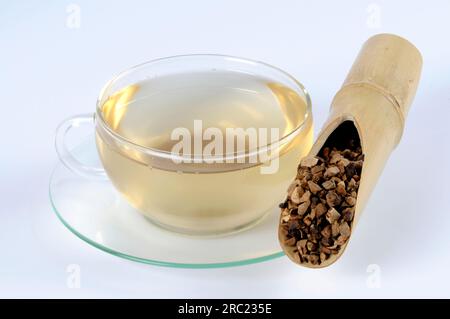 (Cyperi Rhizoma), Xiang Fu, nut grass rootstock tea Stock Photo