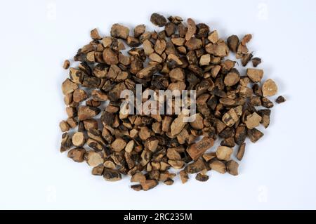 Nutgrass rhizome (Cyperi Rhizoma), Xiang Fu, cut out, object Stock Photo