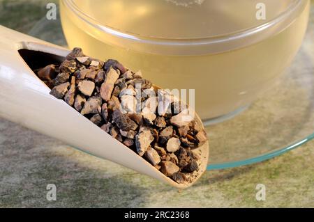 (Cyperi Rhizoma), Xiang Fu, nut grass rootstock tea Stock Photo