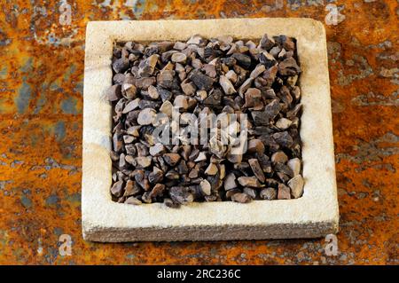 Nutgrass rhizome (Cyperi rhizoma), Xiang Fu Stock Photo